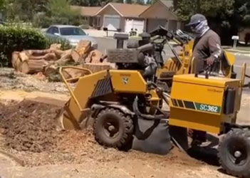 stump grinding