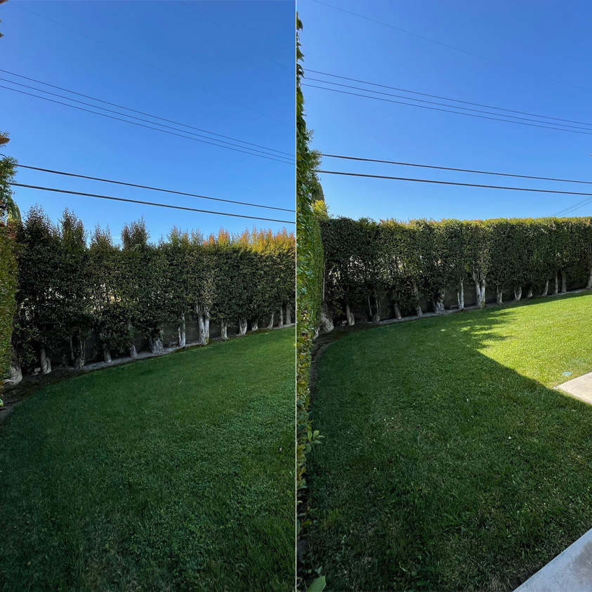 backyard before and after photo