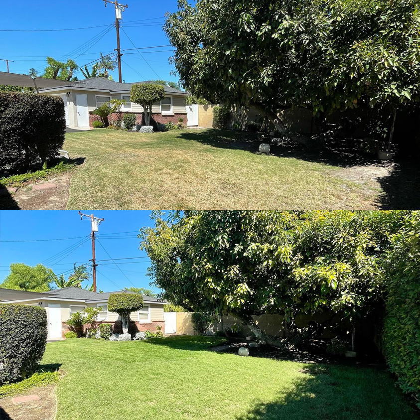 front yard before and after photo