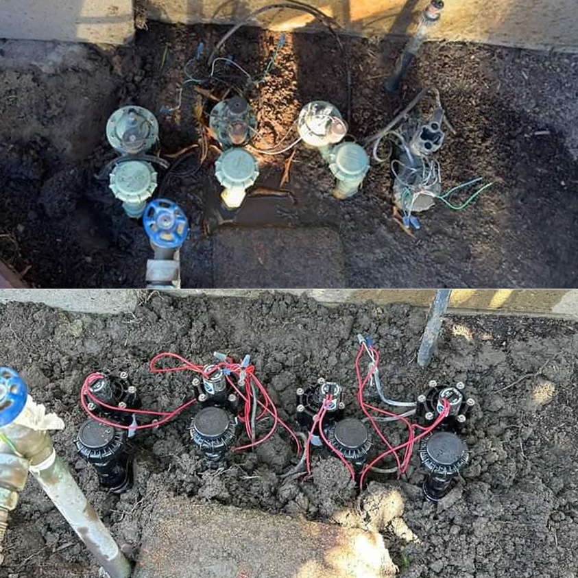 irrigation system install before and after photo